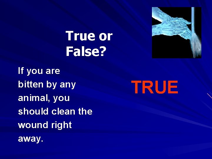 True or False? If you are bitten by animal, you should clean the wound