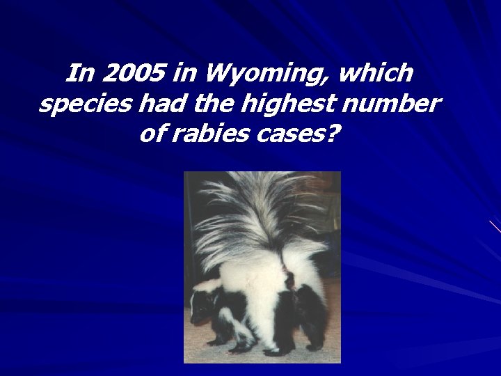 In 2005 in Wyoming, which species had the highest number of rabies cases? 