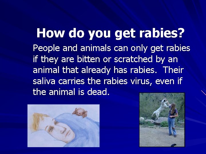 How do you get rabies? People and animals can only get rabies if they