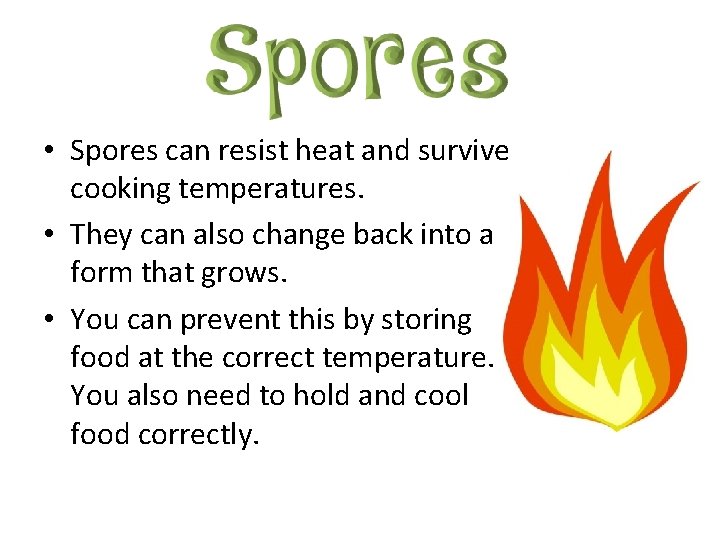  • Spores can resist heat and survive cooking temperatures. • They can also