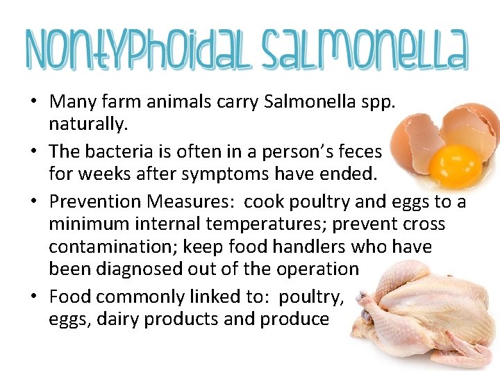  • Many farm animals carry Salmonella spp. naturally. • The bacteria is often