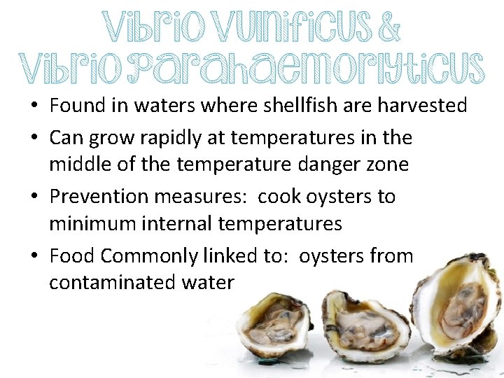  • Found in waters where shellfish are harvested • Can grow rapidly at