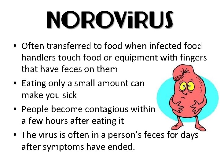  • Often transferred to food when infected food handlers touch food or equipment