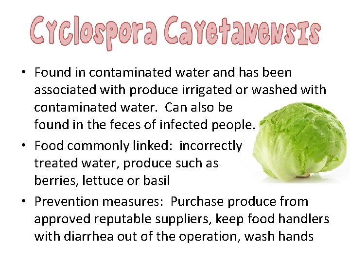  • Found in contaminated water and has been associated with produce irrigated or