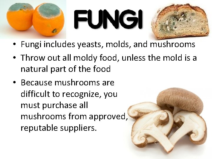  • Fungi includes yeasts, molds, and mushrooms • Throw out all moldy food,