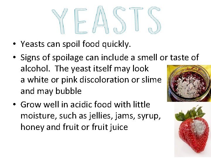  • Yeasts can spoil food quickly. • Signs of spoilage can include a