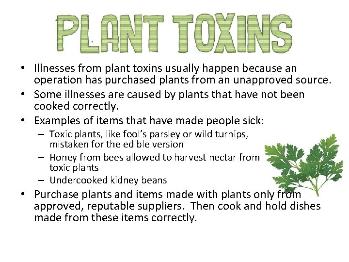  • Illnesses from plant toxins usually happen because an operation has purchased plants