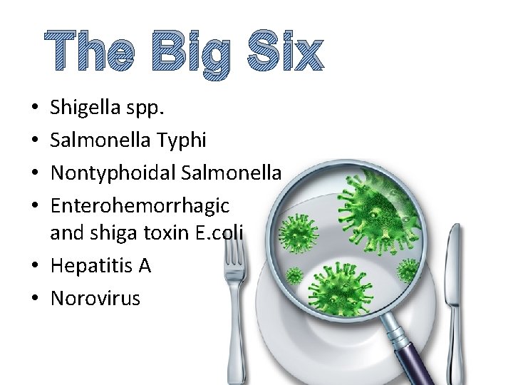 The Big Six Shigella spp. Salmonella Typhi Nontyphoidal Salmonella Enterohemorrhagic and shiga toxin E.