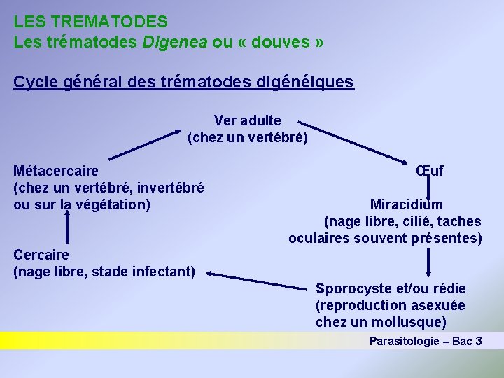 LES TREMATODES Les trématodes Digenea ou « douves » Cycle général des trématodes digénéiques