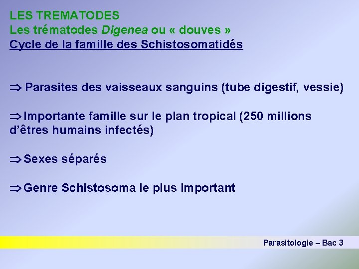 LES TREMATODES Les trématodes Digenea ou « douves » Cycle de la famille des