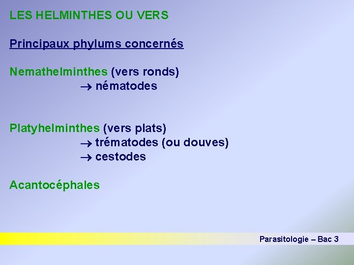 LES HELMINTHES OU VERS Principaux phylums concernés Nemathelminthes (vers ronds) nématodes Platyhelminthes (vers plats)