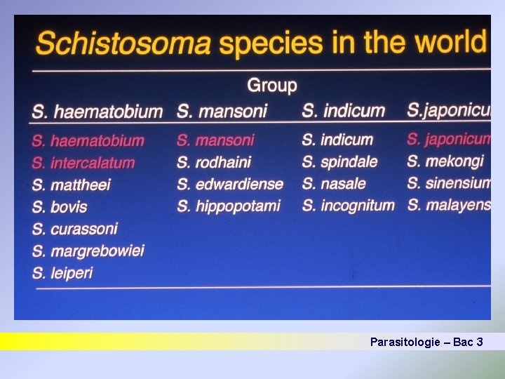 Parasitologie – Bac 3 