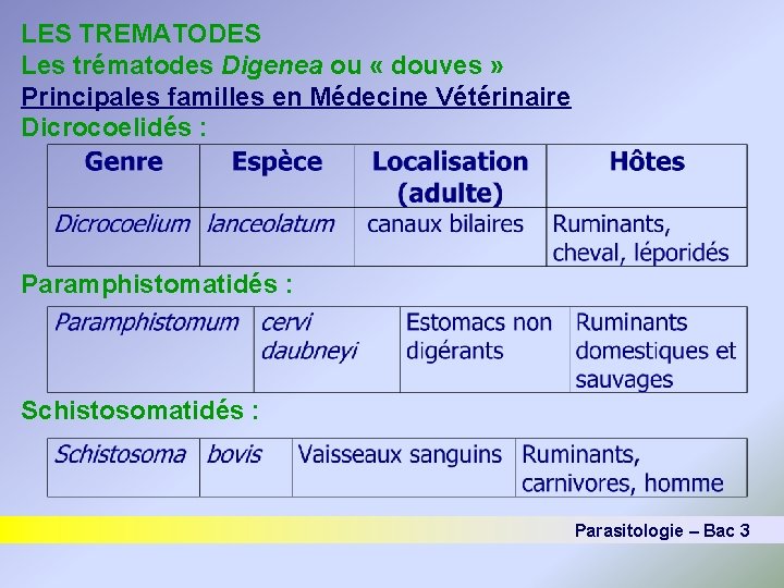 LES TREMATODES Les trématodes Digenea ou « douves » Principales familles en Médecine Vétérinaire