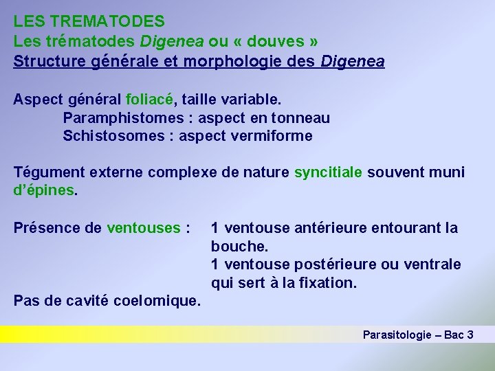 LES TREMATODES Les trématodes Digenea ou « douves » Structure générale et morphologie des