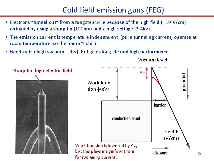 Cold field emission guns (FEG) • Electrons “tunnel out” from a tungsten wire because