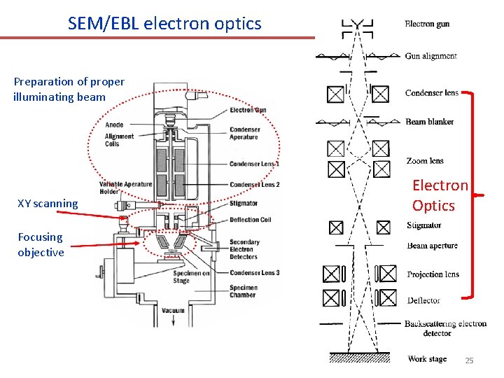 SEM/EBL electron optics Preparation of proper illuminating beam XY scanning Electron Optics Focusing objective