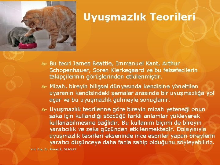 Uyuşmazlık Teorileri Bu teori James Beattie, Immanuel Kant, Arthur Schopenhauer, Soren Kierkegaard ve bu