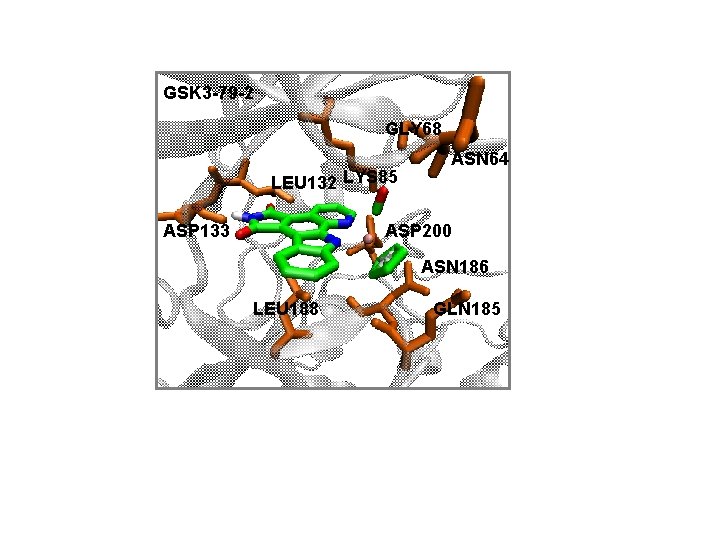 GSK 3 -79 -2 GLY 68 LEU 132 LYS 85 ASP 133 ASN 64