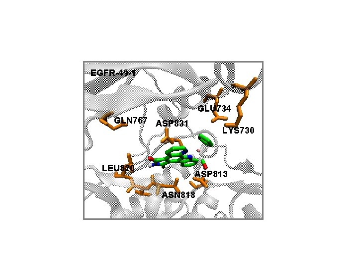 EGFR-49 -1 GLU 734 GLN 767 ASP 831 LEU 820 LYS 730 ASP 813