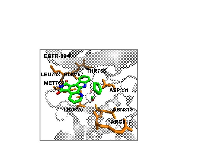 EGFR-89 -6 LEU 768 GLN 767 THR 766 MET 769 ASP 831 LEU 820