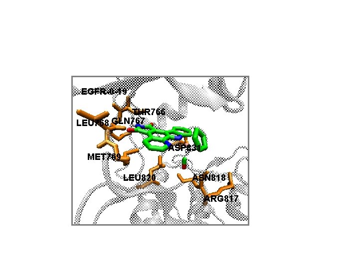 EGFR-0 -19 THR 766 LEU 768 GLN 767 ASP 831 MET 769 LEU 820