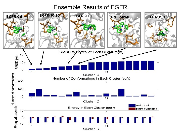 Ensemble Results of EGFR-0 -5 EGFR-70 -25 EGFR-0 -19 EGFR-89 -6 EGFR-49 -1 