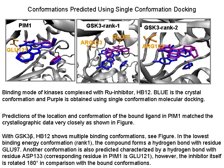 Conformations Predicted Using Single Conformation Docking PIM 1 GSK 3 -rank-1 ARG 133 GLU
