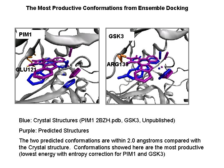 The Most Productive Conformations from Ensemble Docking PIM 1 GLU 121 GSK 3 ARG