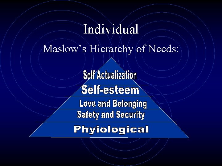 Individual Maslow’s Hierarchy of Needs: 