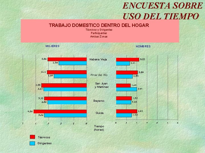 ENCUESTA SOBRE USO DEL TIEMPO TRABAJO DOMESTICO DENTRO DEL HOGAR Técnicos y Dirigentes Participantes