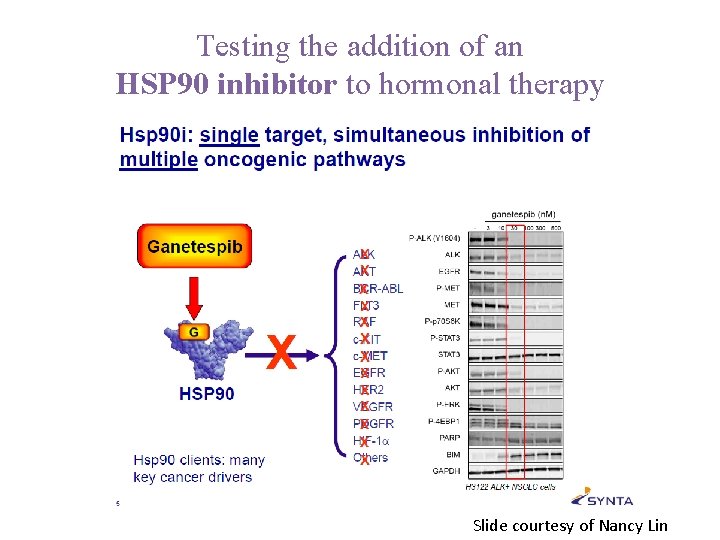 Testing the addition of an HSP 90 inhibitor to hormonal therapy Slide courtesy of