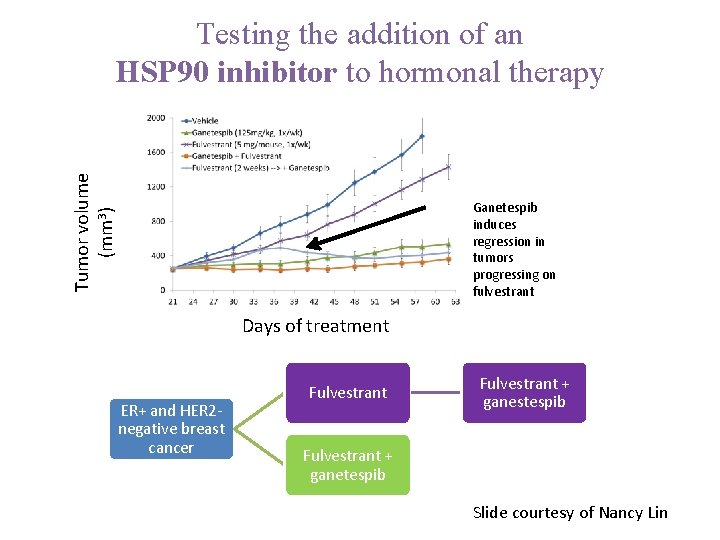 Tumor volume (mm 3) Testing the addition of an HSP 90 inhibitor to hormonal