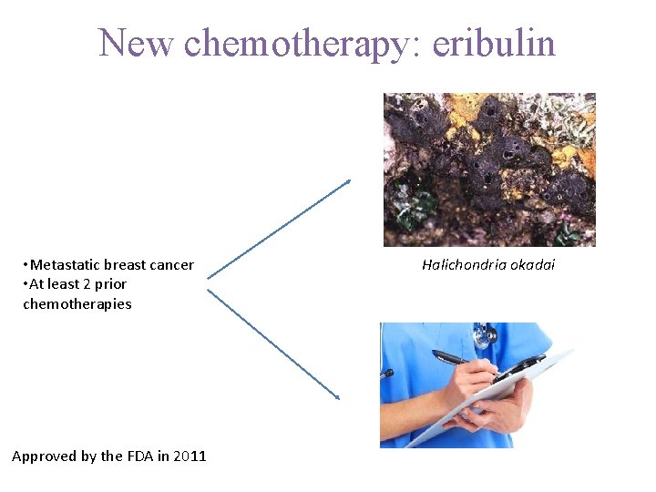 New chemotherapy: eribulin • Metastatic breast cancer • At least 2 prior chemotherapies Approved