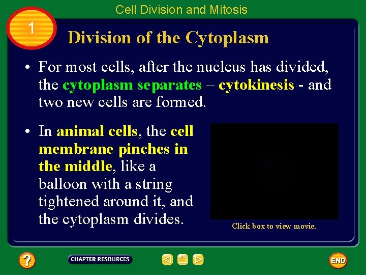 Table of Contents Chapter 4 Cell Reproduction Section