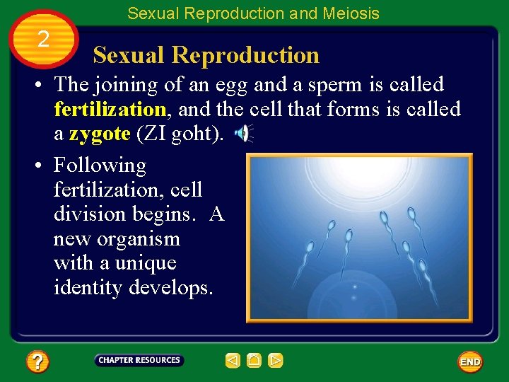 Table of Contents Chapter 4 Cell Reproduction Section