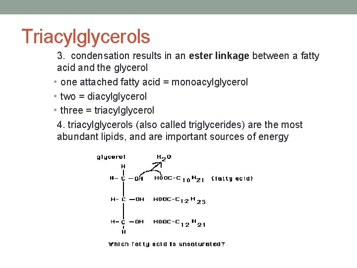 Triacylglycerols 3. condensation results in an ester linkage between a fatty acid and the Triacylglycerols 3. condensation results in an ester linkage between a fatty acid and the