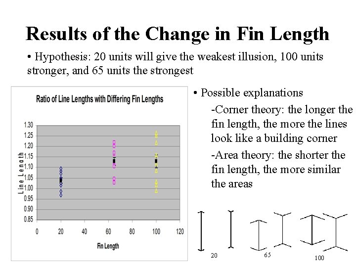 Results of the Change in Fin Length • Hypothesis: 20 units will give the
