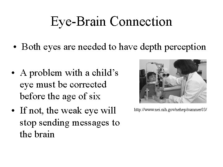 Eye-Brain Connection • Both eyes are needed to have depth perception • A problem