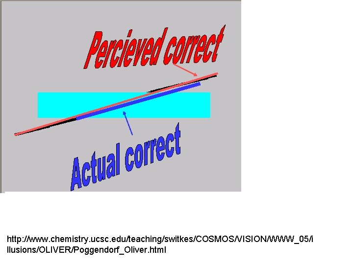 http: //www. chemistry. ucsc. edu/teaching/switkes/COSMOS/VISION/WWW_05/i llusions/OLIVER/Poggendorf_Oliver. html 