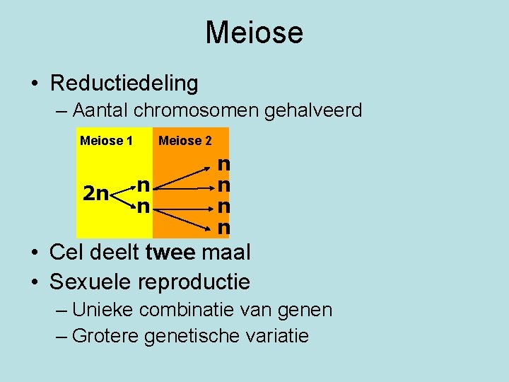 Meiose • Reductiedeling – Aantal chromosomen gehalveerd Meiose 1 2 n Meiose 2 n