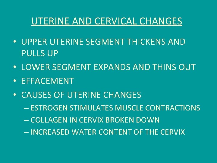 UTERINE AND CERVICAL CHANGES • UPPER UTERINE SEGMENT THICKENS AND PULLS UP • LOWER