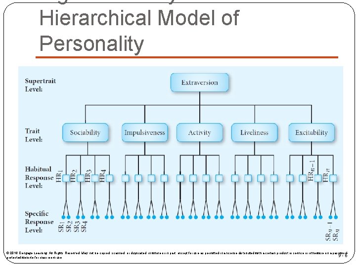 Hierarchical Model of Personality © 2016 Cengage Learning. All Rights Reserved. May not be