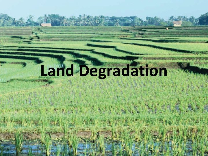 Land Degradation 