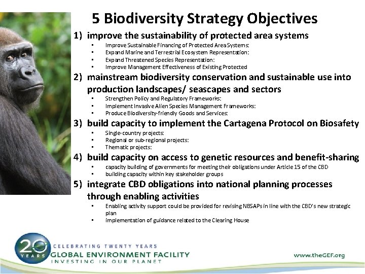 5 Biodiversity Strategy Objectives 1) improve the sustainability of protected area systems • •