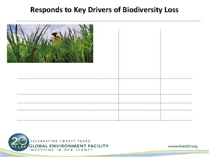Responds to Key Drivers of Biodiversity Loss 