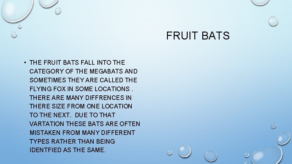FRUIT BATS • THE FRUIT BATS FALL INTO THE CATEGORY OF THE MEGABATS AND