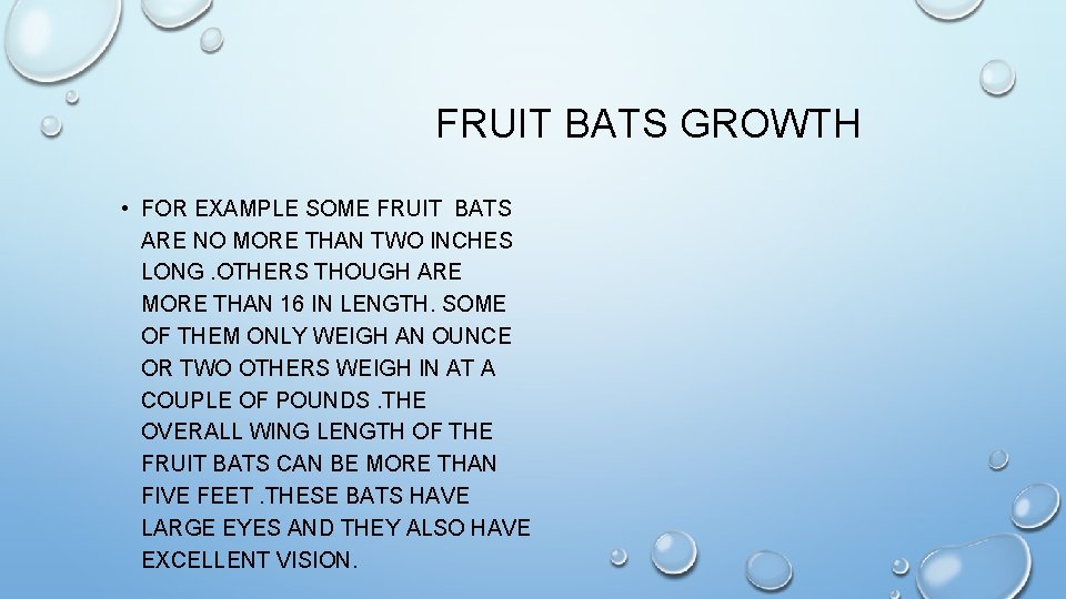 FRUIT BATS GROWTH • FOR EXAMPLE SOME FRUIT BATS ARE NO MORE THAN TWO
