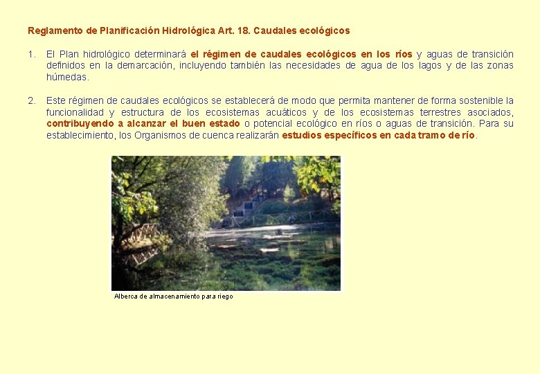 Reglamento de Planificación Hidrológica Art. 18. Caudales ecológicos 1. El Plan hidrológico determinará el