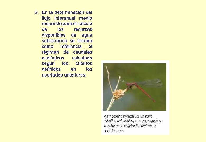 5. En la determinación del flujo interanual medio requerido para el cálculo de los