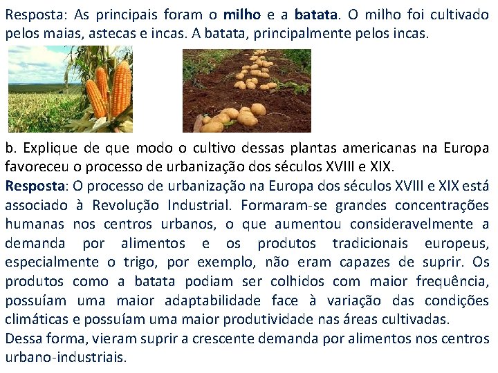 Resposta: As principais foram o milho e a batata. O milho foi cultivado pelos